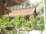 img0012.jpg