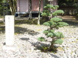 img0013.jpg