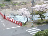 img0020.jpg