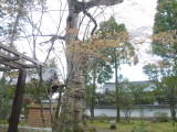 img0021.jpg
