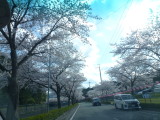img0049.jpg