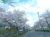 img0050.jpg