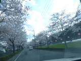 img0051.jpg