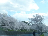 img0052.jpg