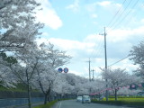 img0053.jpg