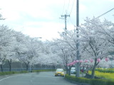 img0054.jpg
