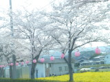 img0055.jpg