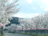img0056.jpg