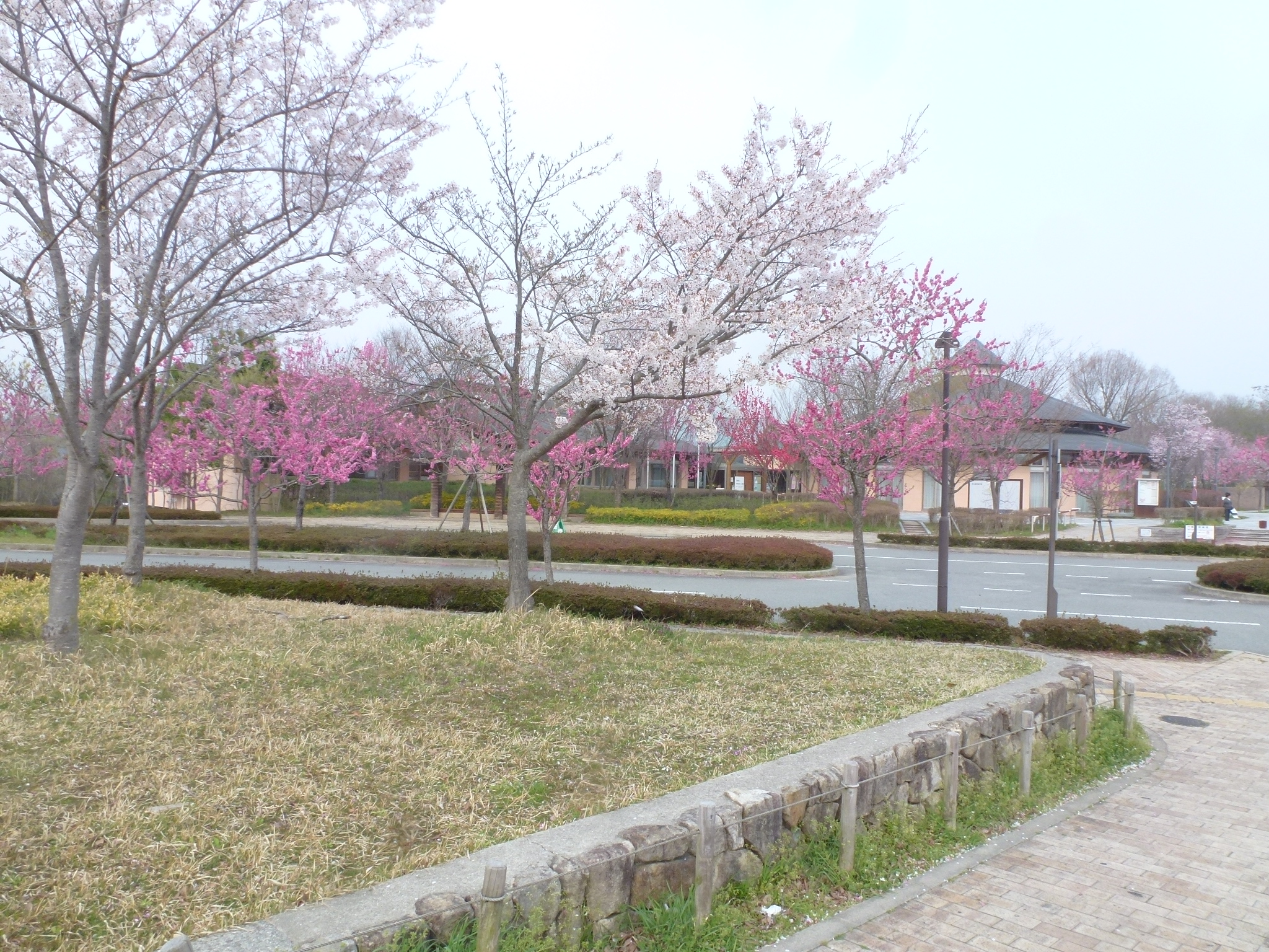 P1160201.JPG