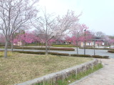 img0000.jpg