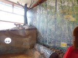 img0009.jpg
