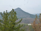 img0013.jpg