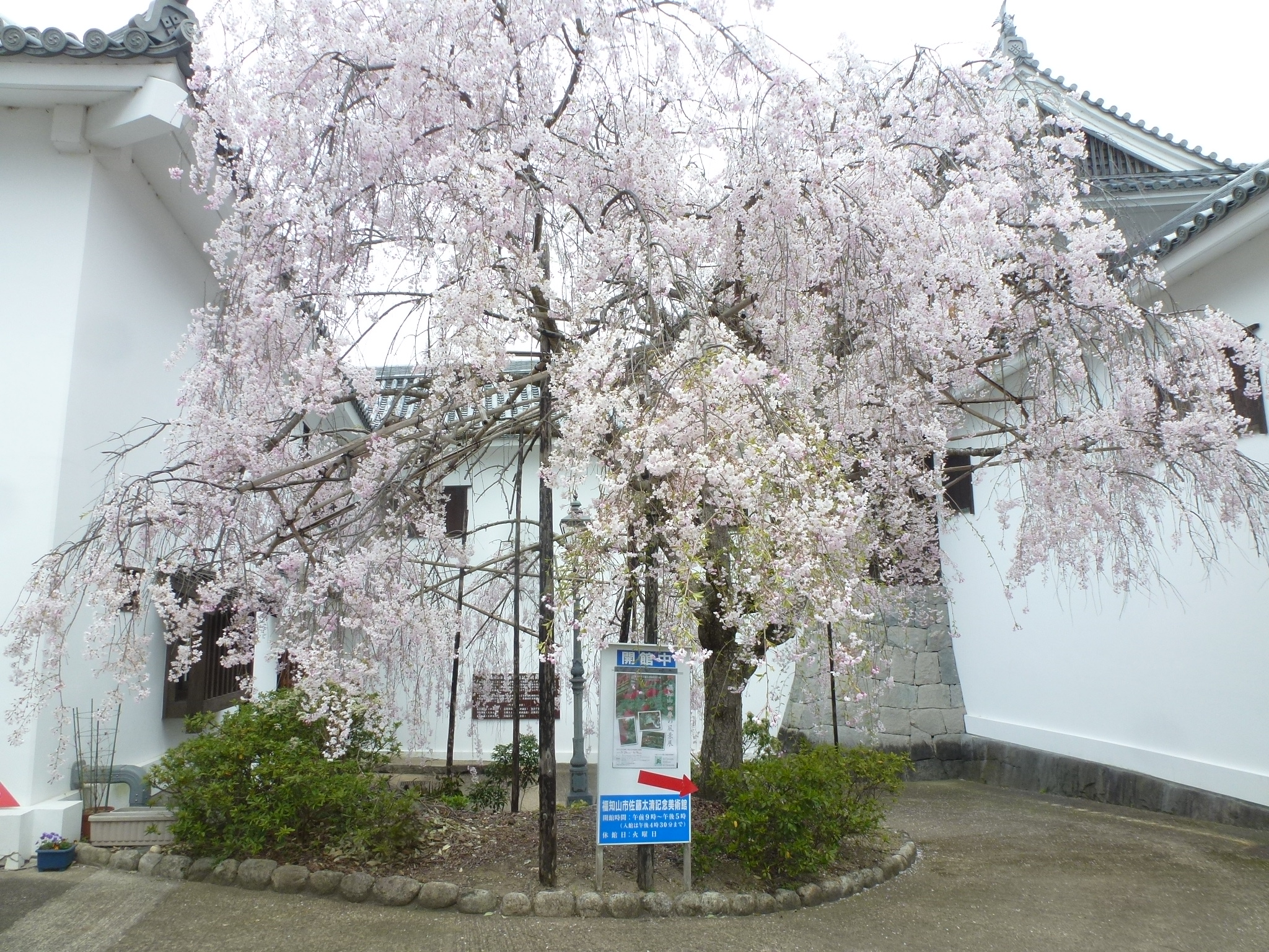P1160216.JPG