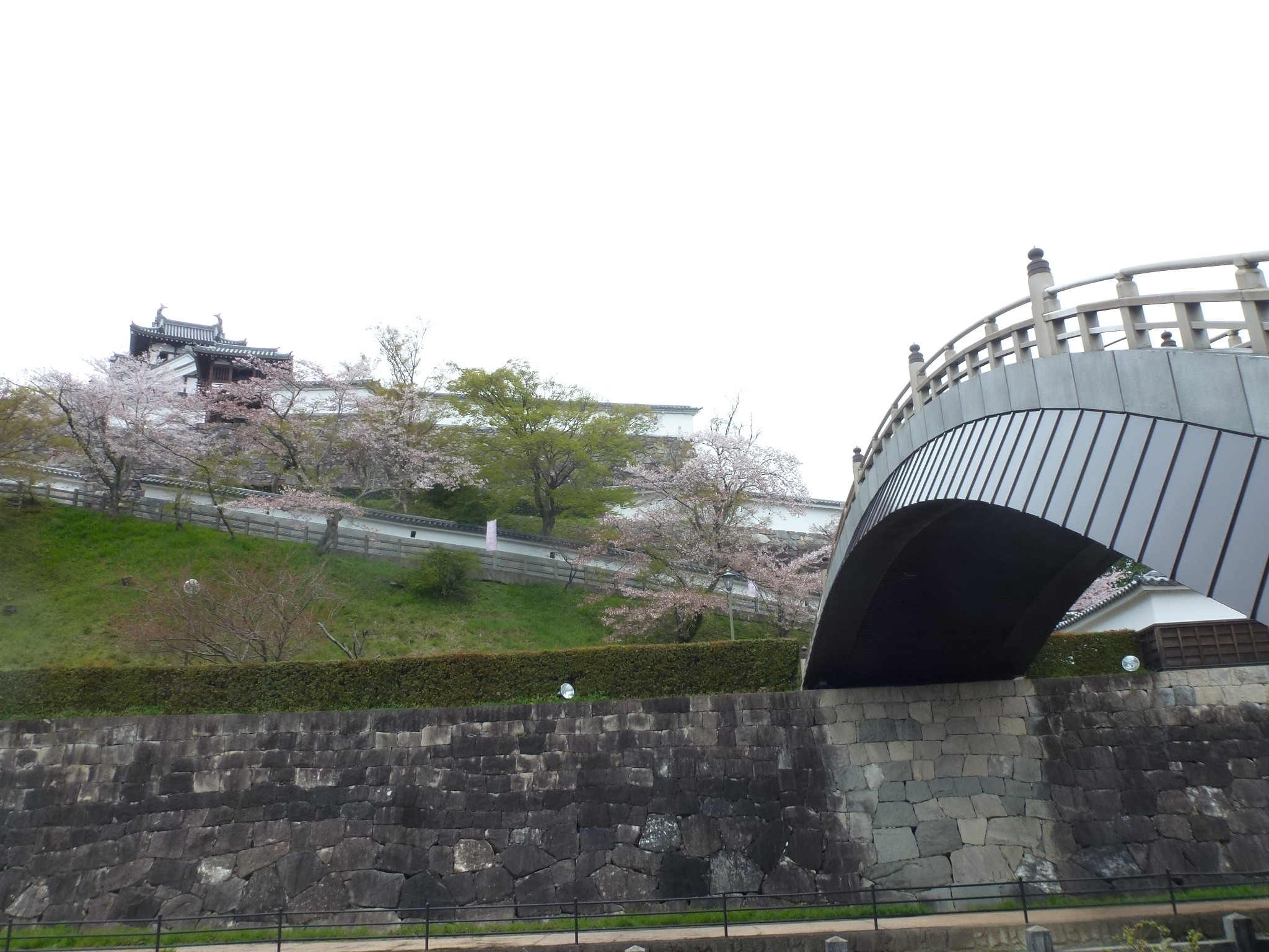 P1160218.JPG