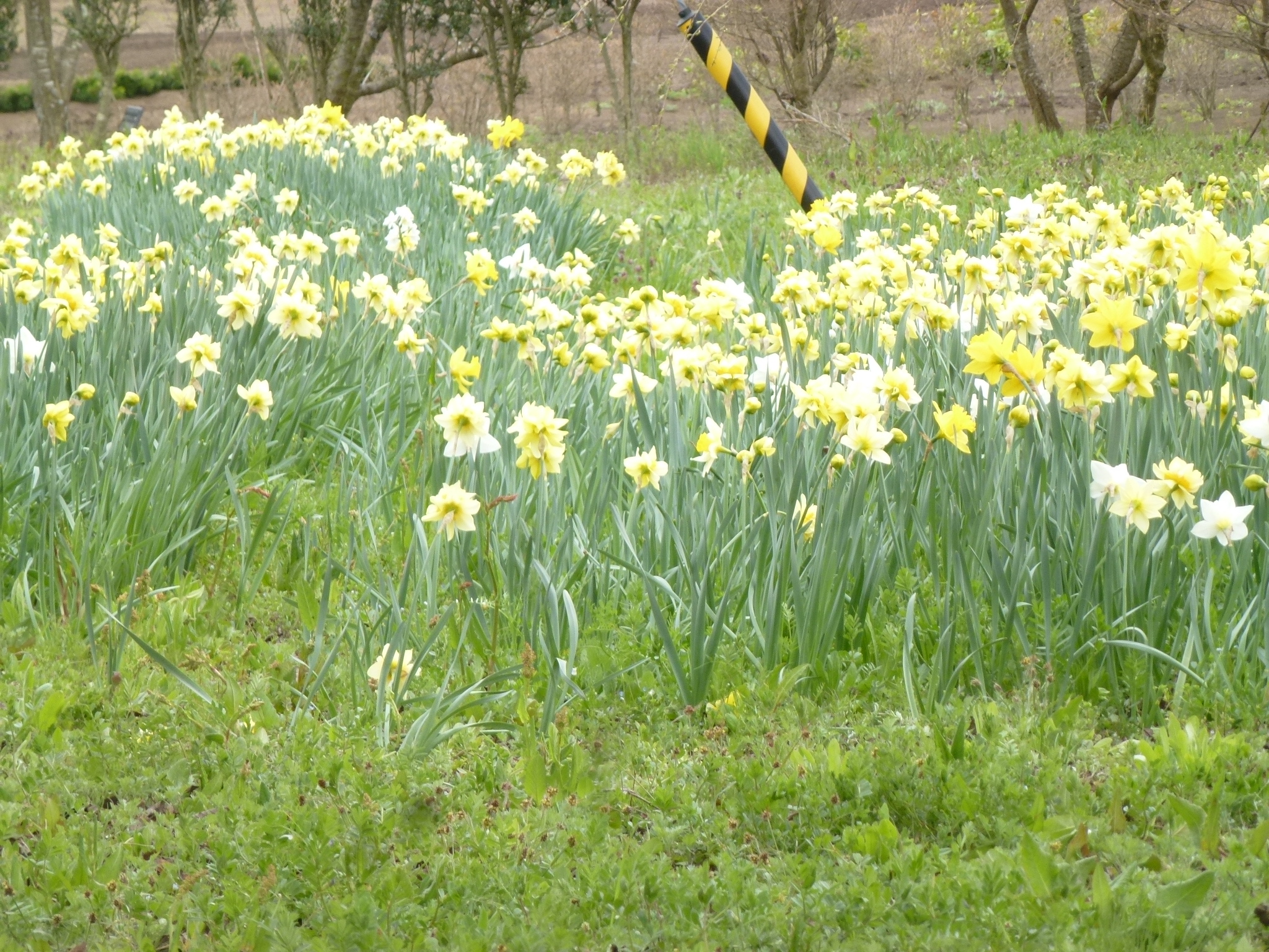 P1160220.JPG