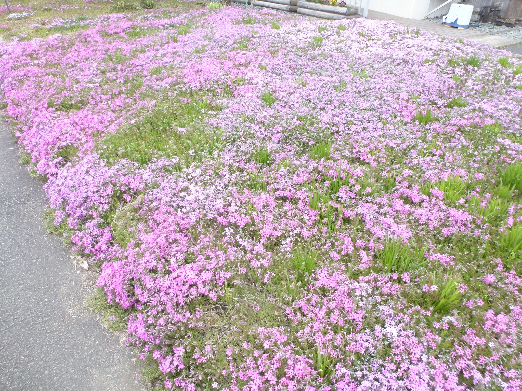 P1160226.JPG