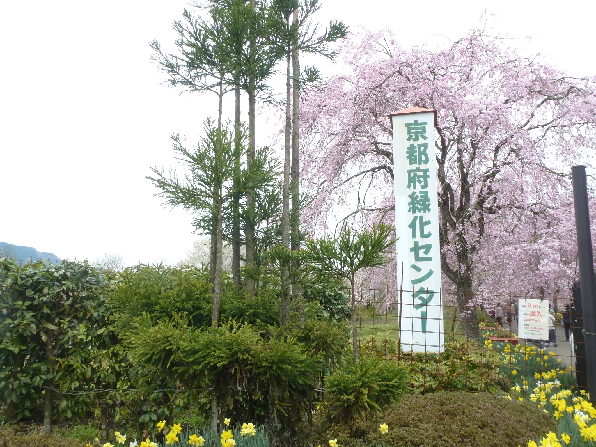 P1160243.JPG