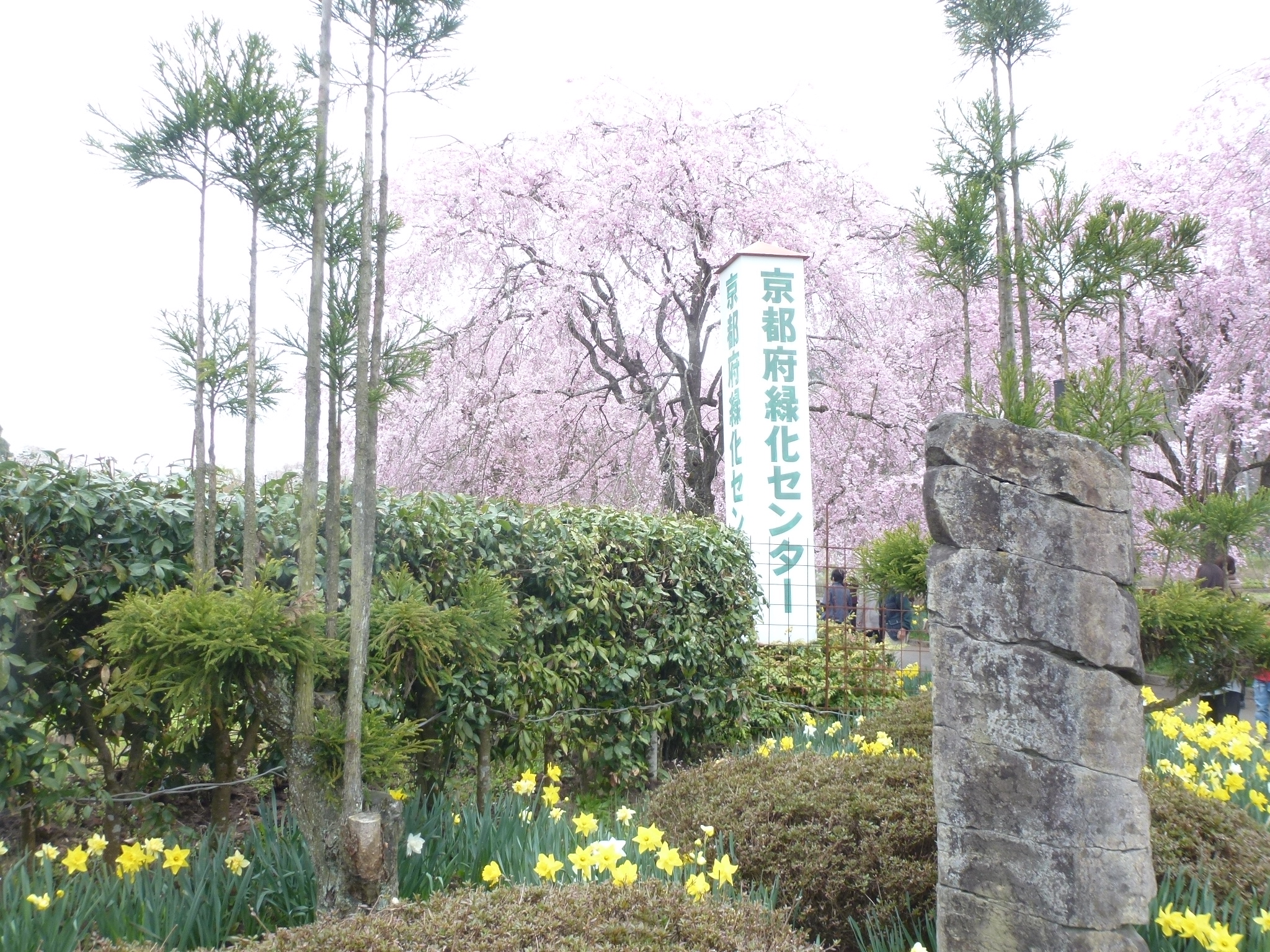 P1160244.JPG
