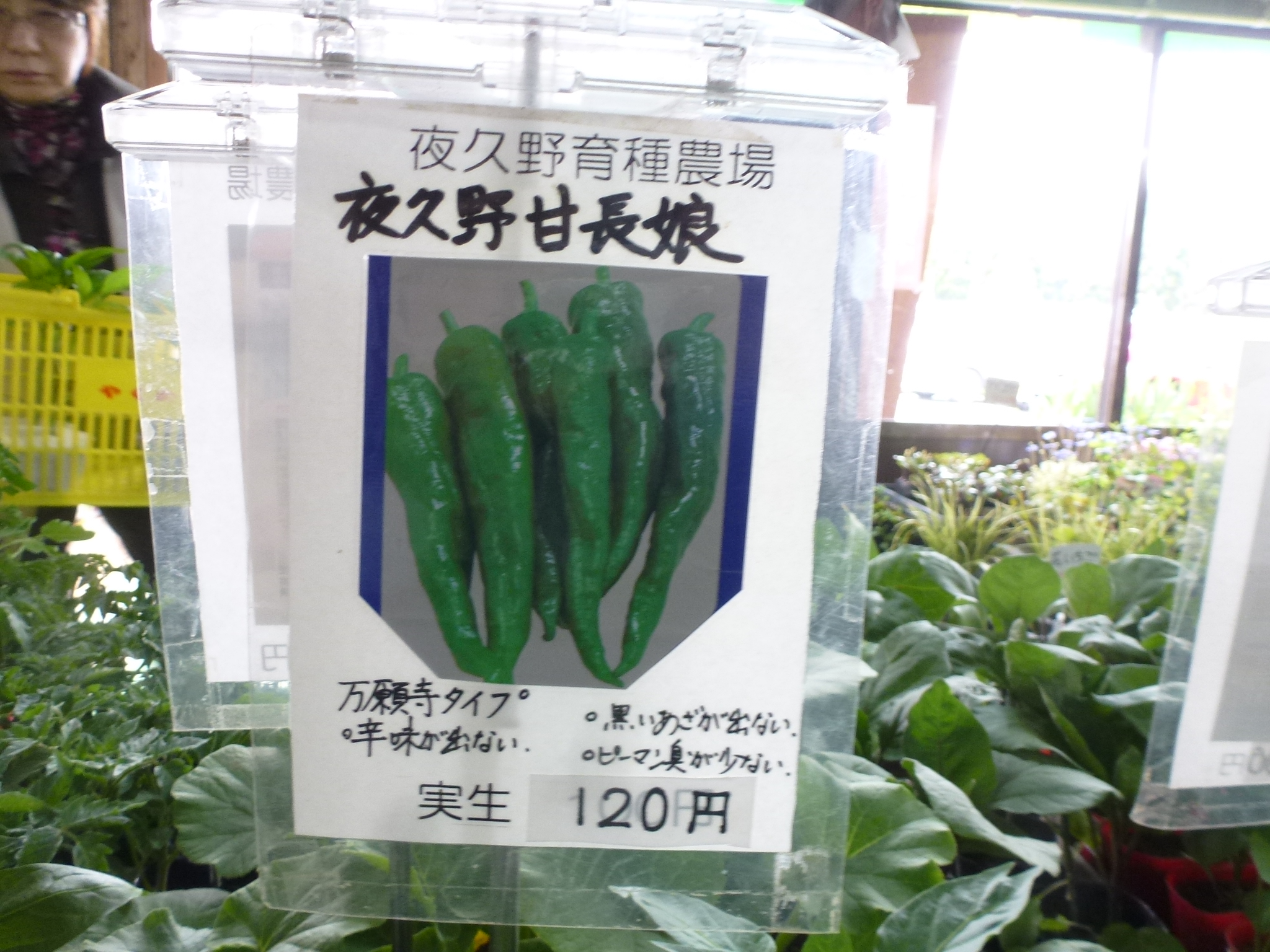 P1160257.JPG