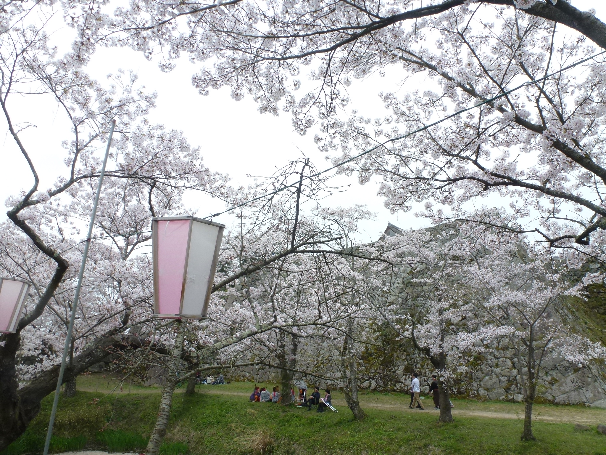P1160262.JPG