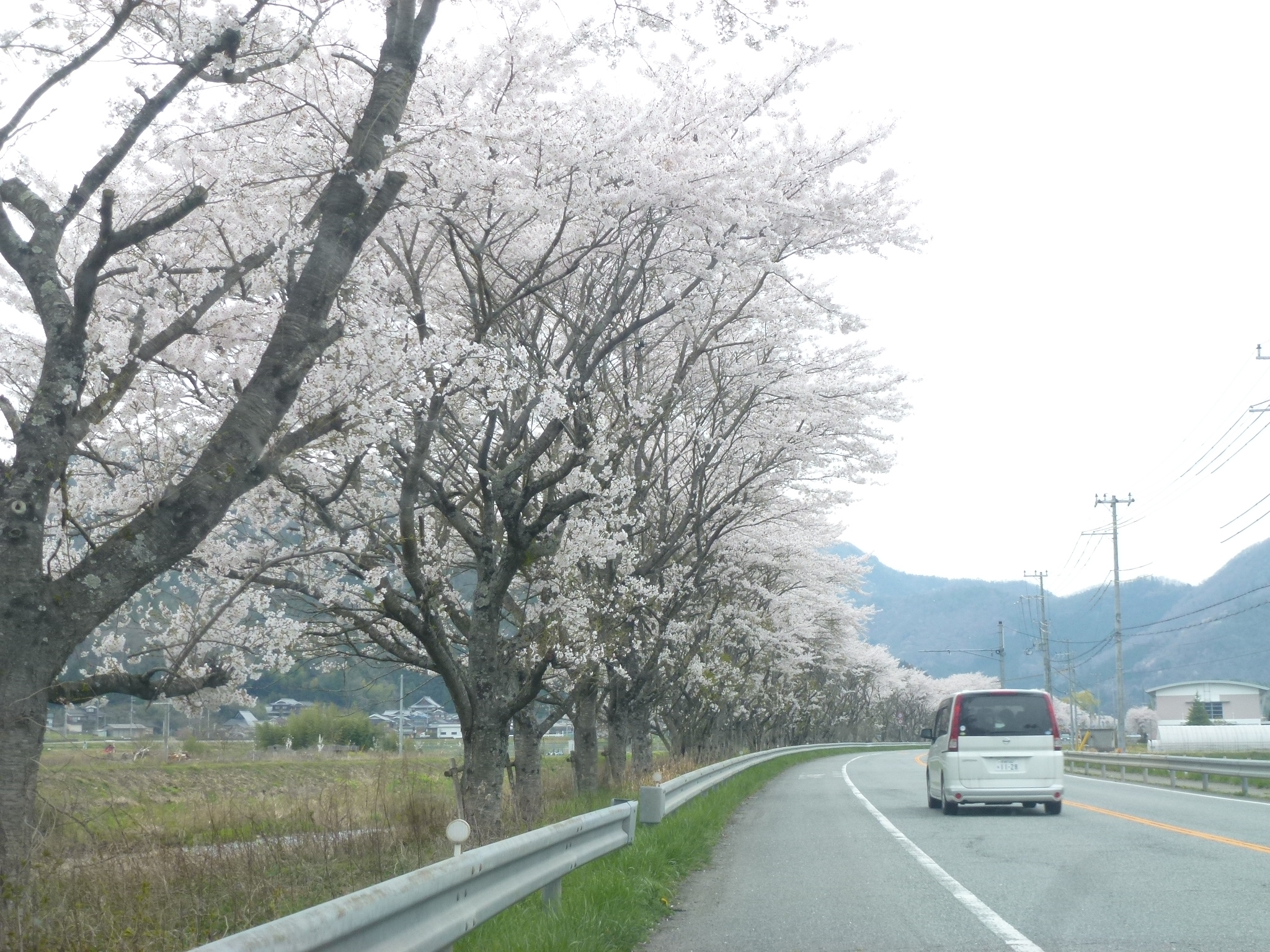 P1160268.JPG