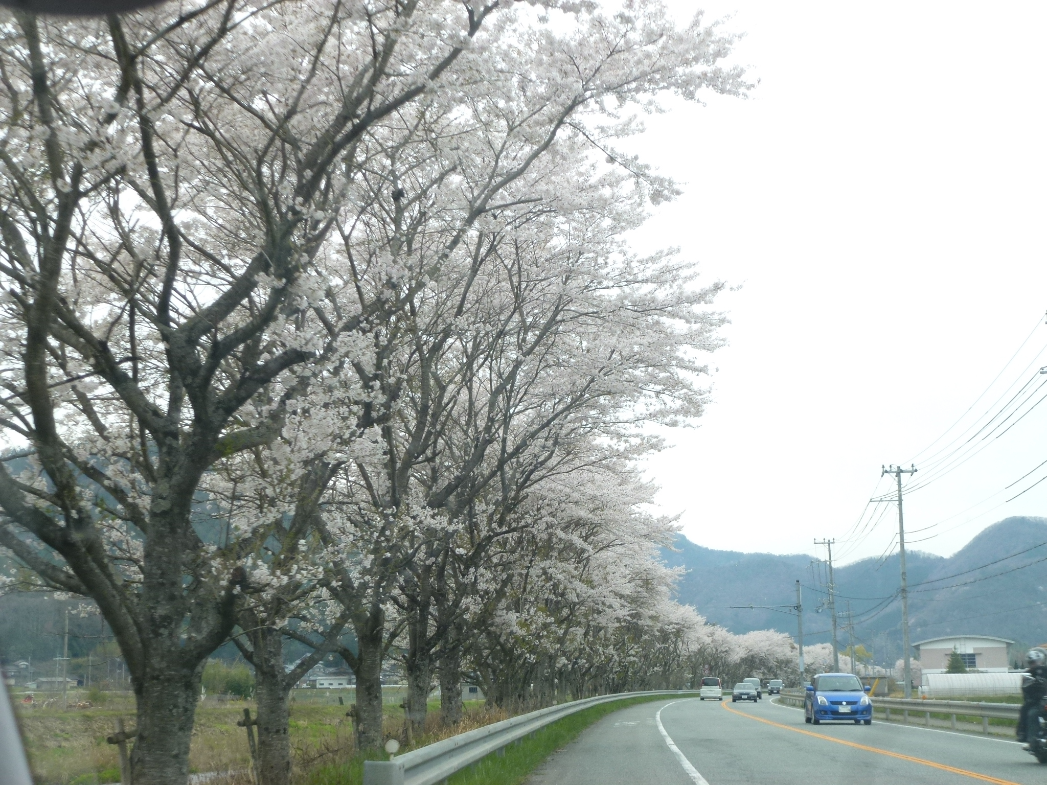 P1160269.JPG