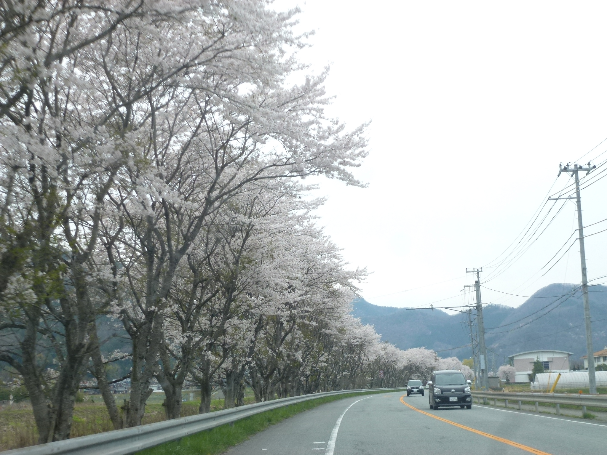 P1160270.JPG