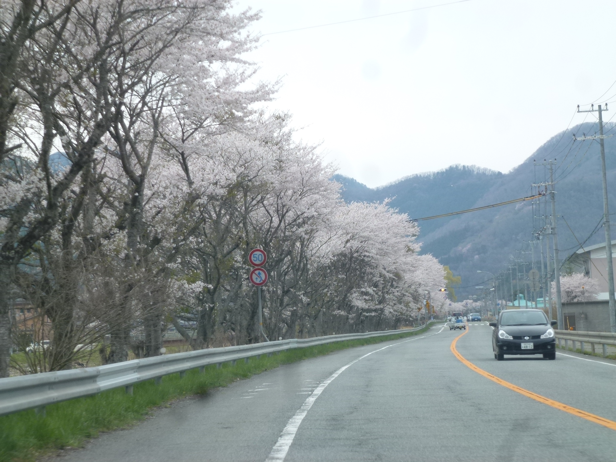 P1160271.JPG