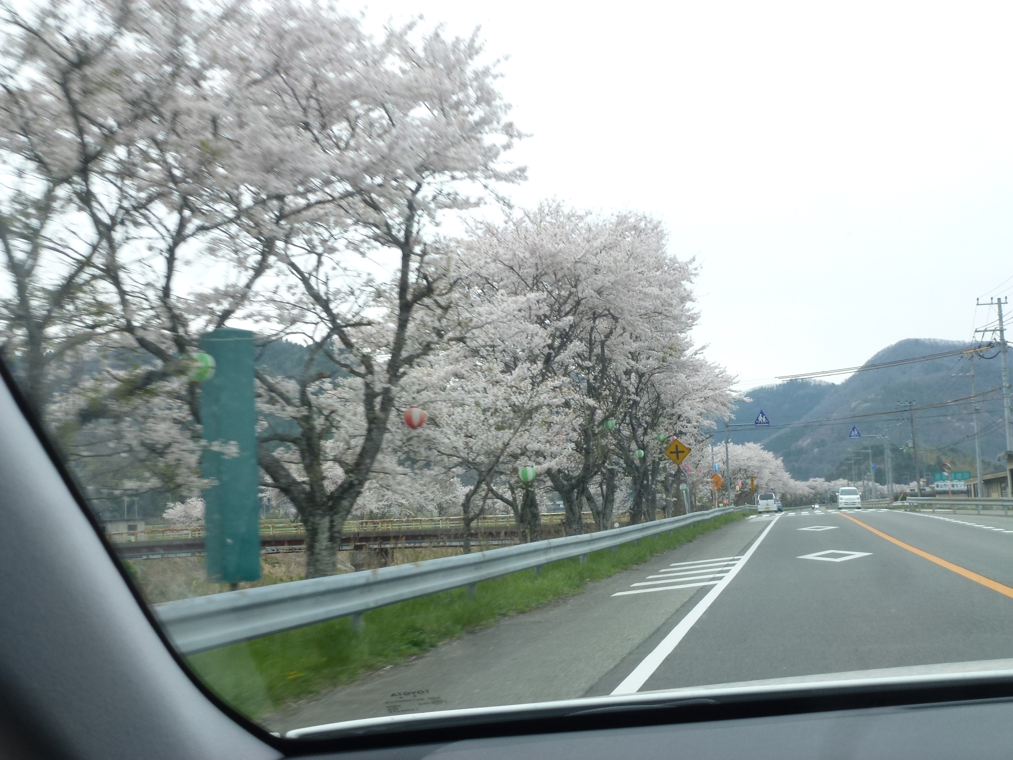 P1160273.JPG