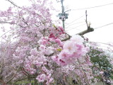 img0008.jpg