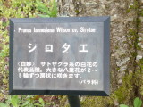 img0010.jpg