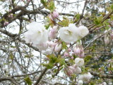 img0011.jpg