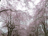 img0014.jpg
