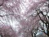 img0015.jpg