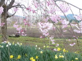 img0018.jpg