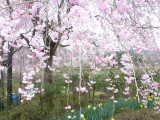 img0019.jpg