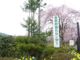 img0020.jpg