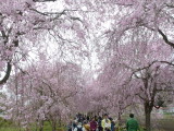 img0022.jpg