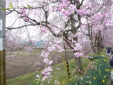 img0026.jpg