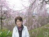 img0029.jpg
