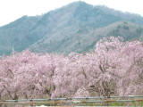 img0032.jpg