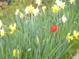 img0033.jpg