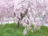 img0038.jpg