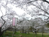 img0039.jpg