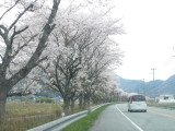 img0045.jpg