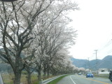 img0046.jpg