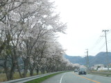 img0047.jpg