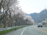 img0048.jpg