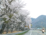 img0049.jpg