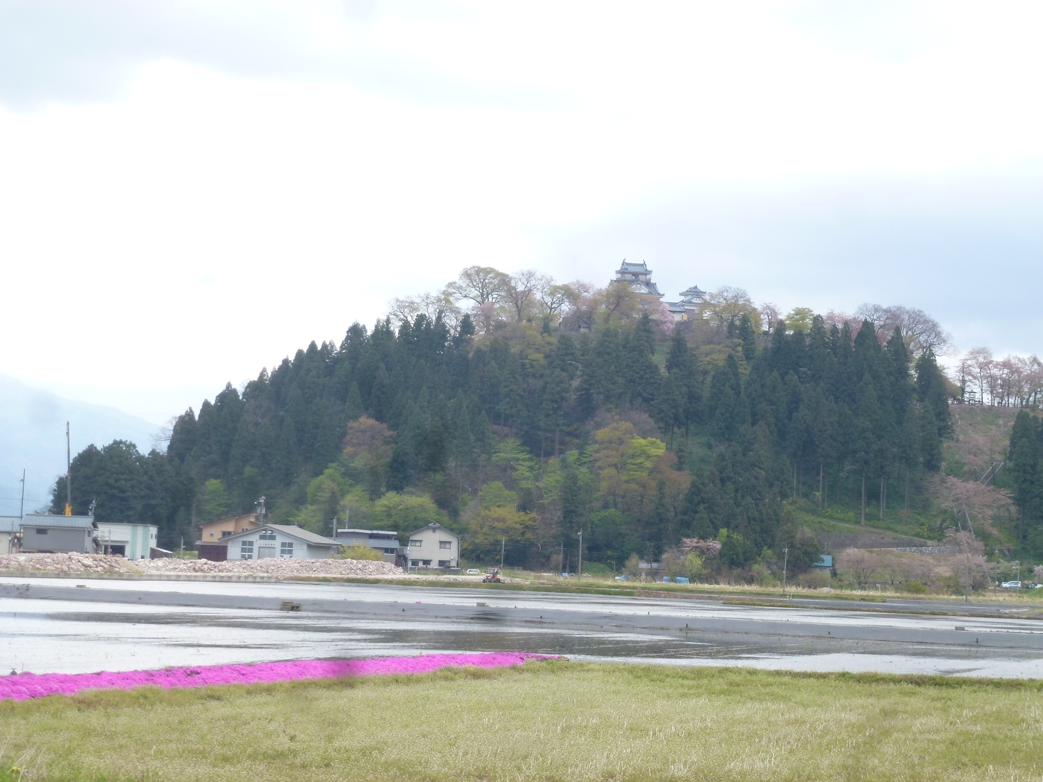 P1160290.JPG